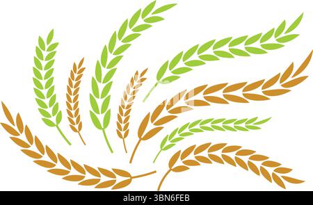 Wheat and Rice Grain Ears Abstract Green Brown Set Stock Vector