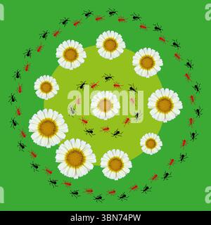 Circular floral layout. Daisies and ants combined. Bright green background. Whimsical nature concept. Stock Vector