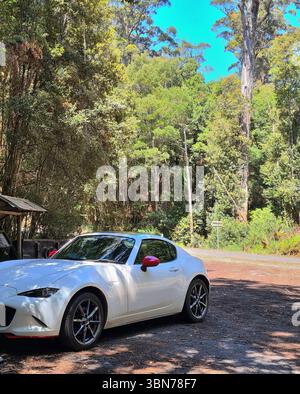 White Mazda MX5 with red mirrors pulled over while touring the Tarkine forest in West Tasmania on a country gravel road surrounded by gumtrees Stock Photo