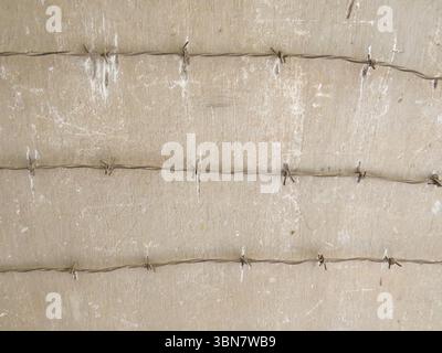 rows of barbed wire against a concrete prison wall Stock Photo