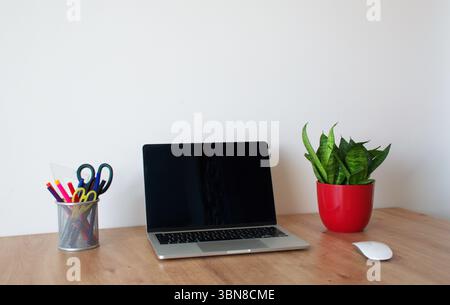 Modern and minimalist home office workspace featuring a sleek laptop with a blank screen, a wireless mouse, and a vibrant green snake plant in a red. Stock Photo