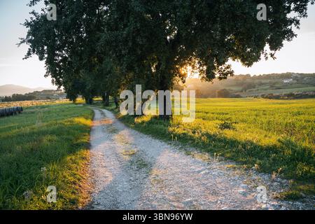 Sunset over the rolling hills of Umbria, Italy, with warm golden hues Stock Photo