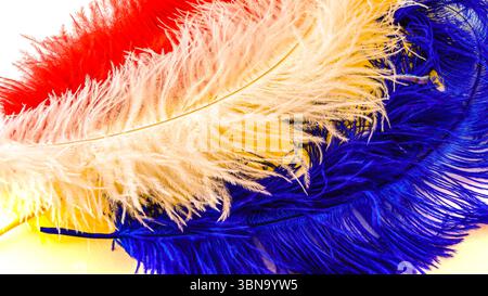 Close-up of a grouping of colored feather plumes isolateed on white Stock Photo