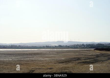 Cyprus, Larnaca Salt Lake, A serene landscape with a vast expanse of brown, muddy terrain stretching out towards the horizon. The sky is a light blue, with a few clouds scattered across it. In the distance, a cluster of wind turbines stands tall against the sky, their white blades contrasting with the blue of the sky. A small settlement is nestled in the valley below the turbines, with a mix of residential and possibly commercial buildings. The foreground is dominated by the muddy terrain, with a few small, dark-colored objects scattered across it. The horizon is hazy, and the image is taken Stock Photo