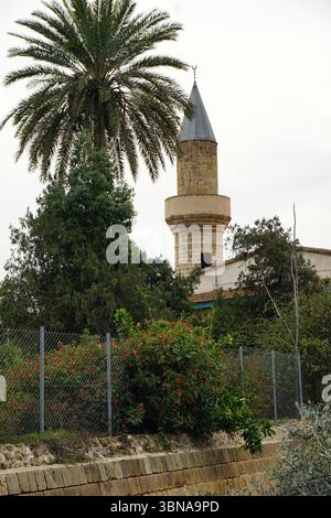 Nicosia (Lefkosia), Cyprus, the world’s last divided capital, A tall, slender tower with a pointed roof and a small window, standing against a light gray, overcast sky. The tower is constructed of light brown or tan stone and is surrounded by a lush, green landscape. A palm tree is visible to the left of the tower, and a chain-link fence runs along the bottom of the image, separating the viewer from the tower and the surrounding greenery. The tower is part of a larger structure, possibly a mosque, with a white or cream-colored roof. The tower is surrounded by a variety of trees and shrubs, Stock Photo