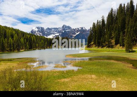 Tranquil Lago Misurina with its serene waters and marshy foreground, surrounded by dense pine forests and the snow-capped Cristallo mountains under a Stock Photo