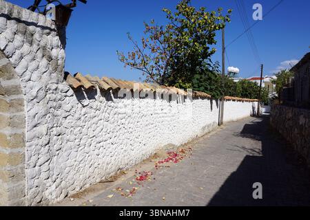 Cyprus village, A narrow cobblestone street flanked by white walls on both sides. The walls are constructed from white stone with a rough, uneven texture and feature a row of terracotta-colored tiles along the top. A small, dark-colored object, possibly a lantern, is mounted on the left wall. The street is lined with trees and bushes, and a few fallen red petals are scattered on the ground. A utility pole with wires is visible on the right side of the street. In the distance, a building with a red roof can be seen, and a small white structure, possibly a water tank, is also visible on the Stock Photo