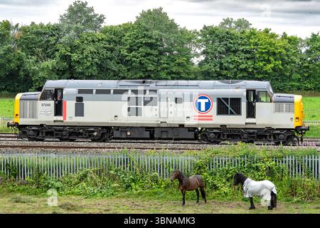 transrail-class-37-diesel-
