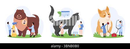 Veterinary checkup of animal in vet hospital, medical examination set. Tiny people check pets skin health with magnifying glass and stethoscope, get vaccine by calendar cartoon vector illustration Stock Vector