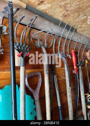 garden tools hung on wall in garden shed, ellingham, norfolk, england Stock Photo