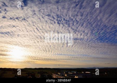 Sunset Golden Light Skies Filled with Altocumulus Cloud Formations Stock Photo