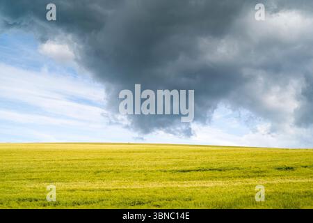 Ominous dark clouds swirling as weather front moving in over a wheat field in summertime in Hampshire, England, UK Stock Photo