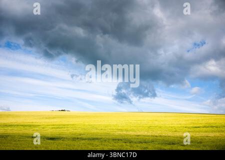 Ominous dark clouds swirling as weather front moving in over a wheat field in summertime in Hampshire, England, UK Stock Photo