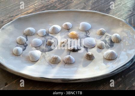 Assorted collection of sea shells in pastel colours on a ceramic platter Stock Photo