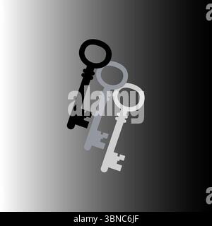 Two keys illustration. Security access symbol. Metallic object pair. Protection solution Vector. Stock Vector