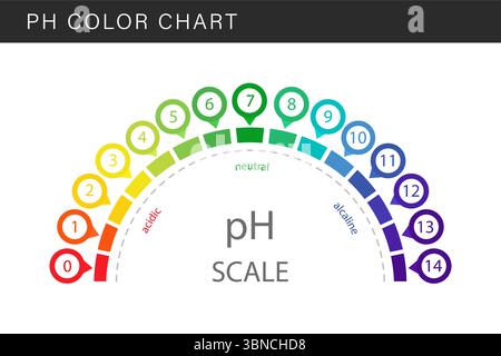 PH Scale. Acid and alkaline indicator. Chemical analysis or test. Education Poster. Vector illustration in flat style Stock Vector