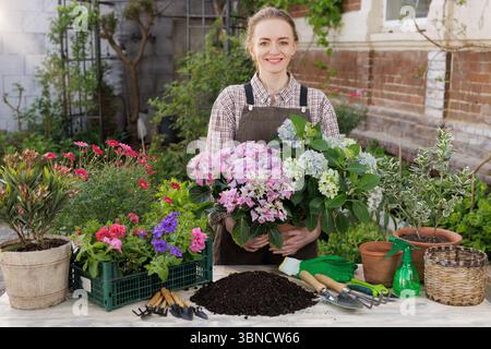 Smiling woman florist in apron holding blooming hydrangeas in garden, surrounded by flowers, tools, and soil. Stock Photo