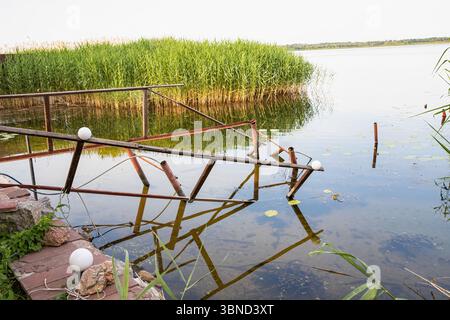 Broken wooden and metal pier structure near green reeds on the shore of a calm lake with lily pads floating on the water. Stock Photo
