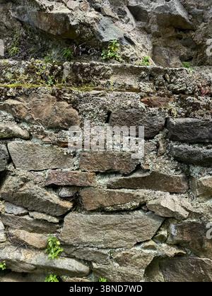 This is a detailed image of a weathered stone wall with irregular stones, visible gaps, moss, and small plants growing from crevices. The erosion and Stock Photo
