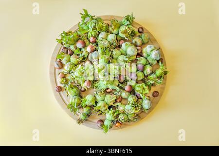 Fresh hazelnuts in green husks and brown shells spread on a round wooden tray. Shot from above with warm daylight, highlighting the texture and natura Stock Photo