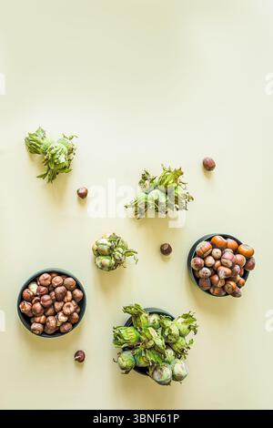 Vertical flat lay of hazelnuts at different stages – fresh in green husks, shelled, and unshelled – arranged in bowls and scattered around. Natural or Stock Photo