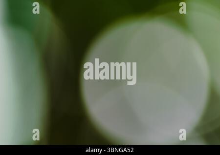 Muted abstract background of unfocused lens flare on a blurry green background Stock Photo