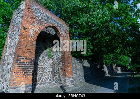 Historic brick and stone wall from the medieval fortifications of Bernau bei Berlin, surrounded by trees and cobblestone path. Stock Photo