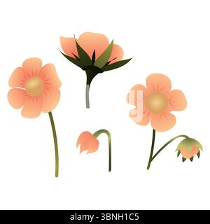 Set of simple pink flowers. Vector illustration isolated on white background. Stock Vector