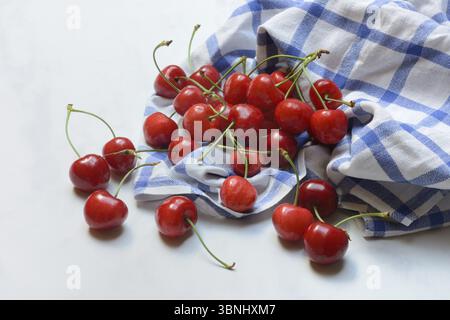 Sweet cherries with cloth, Prunus avium Stock Photo