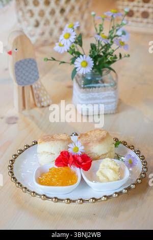 A beautifully plated tea-time dessert featuring two golden-brown scones served with creamy butter and bright orange marmalade, decorated with fresh re Stock Photo