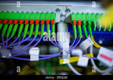 flat design is showing fiber optic patch panel on rack with green SC or APC connectors, purple cable Stock Photo