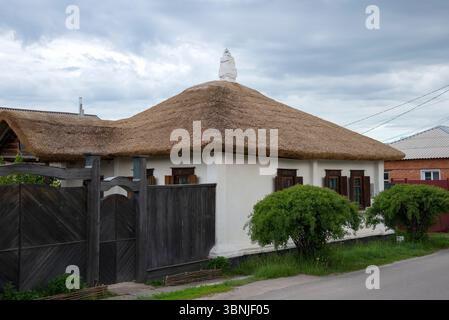 1995 yilda shaxsiy jinsiy aloqa