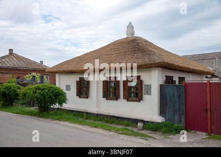 Ani Eranyan yalangoch