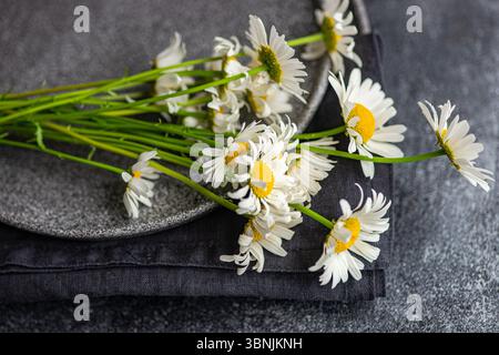 Top view of fresh white daisies arranged on ceramic plates with a dark fabric background. The vibrant yellow centers contrast beautifully with the mut Stock Photo