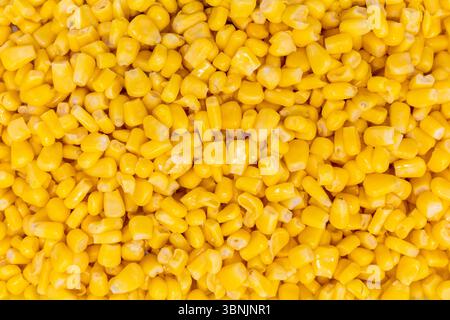 A detailed close-up image showcasing the vibrant yellow texture of fresh corn. This visually striking image can be used as a background, highlighting Stock Photo