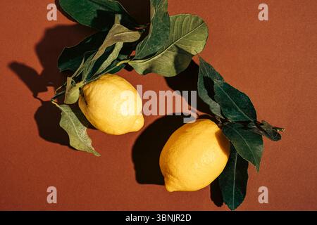 Two lemons with lush green leaves rest on a warm brown background. The image captures the bright yellow hue of the fruit and the rich texture of the l Stock Photo