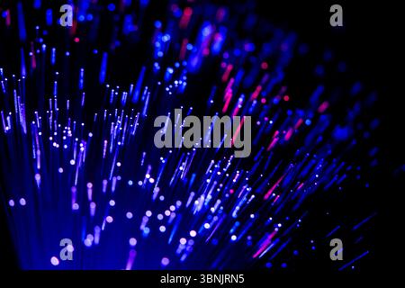 A striking visual of glowing fiber optic cables emitting vibrant blue and purple lights against a dark background, illustrating advanced optical commu Stock Photo