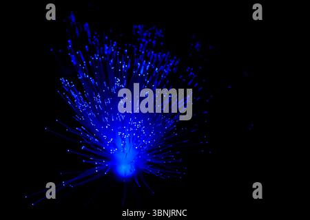 Close up of glowing blue optical fiber strands against a dark background, emphasizing modern technology and connectivity. Captures the essence of digi Stock Photo