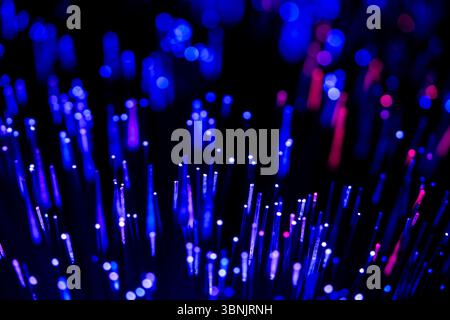 Close up of glowing optical fiber cables, illuminated with vibrant blue and purple lights on a dark background, representing advanced technology and h Stock Photo