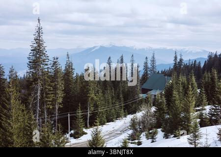 A picturesque mountain scene with snow-dusted paths winding through dense pine forests. Majestic peaks loom in the background beneath a cloudy sky, of Stock Photo