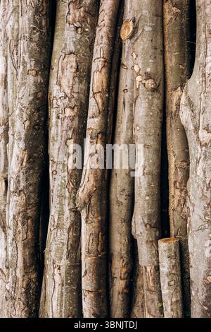 Close-up photo of stacked logs showcasing the natural texture and details of the bark. The vertical arrangement emphasizes the rugged surface and orga Stock Photo