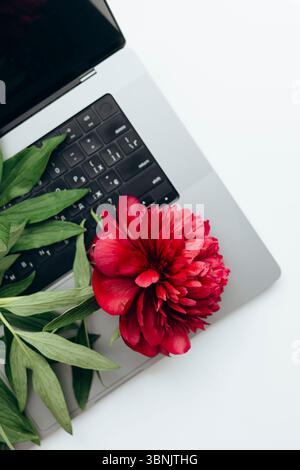 A stunning bouquet of vibrant red peonies in full bloom graces a modern home interior, adding a touch of natural elegance and freshness to the living Stock Photo