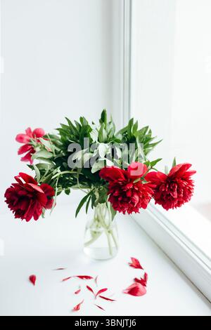A vibrant bouquet of red peonies displayed in a clear glass vase on a windowsill, bringing a touch of elegance and natural beauty to a cozy home inter Stock Photo