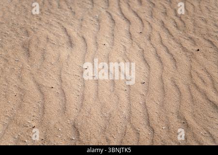 Captivating image of ripples in the sandy beach of Fuerteventura, Spain. The natural patterns formed by wind create an aesthetic wave effect, highligh Stock Photo