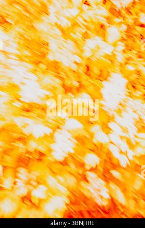 A vibrant abstract image showcasing dynamic movement with bold orange and white hues. Perfect for conveying energy and motion, this piece encapsulates Stock Photo