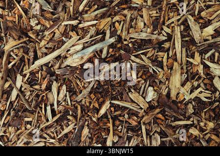 Close up of scattered wood chips covering the ground, showcasing a rich texture of organic materials. Ideal for illustrating concepts of nature and fo Stock Photo