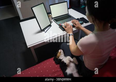An Asian woman works from home at a desk with a laptop and tablet, while her puppy rests comfortably on her lap, capturing a moment of multitasking an Stock Photo