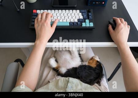 A woman multitasks with technology for remote work, assisted by an AI tool. She sits at her desk with a keyboard and mouse, while her dog rests peacef Stock Photo