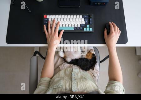 Woman engages in remote work from home, using technology and an AI assistant, while a small dog rests on her lap, creating a cozy yet productive work Stock Photo
