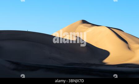 Majestic golden sand dunes rise smoothly under a clear blue sky, casting deep shadows on their curves. A tiny silhouette of a person emphasizes the va Stock Photo
